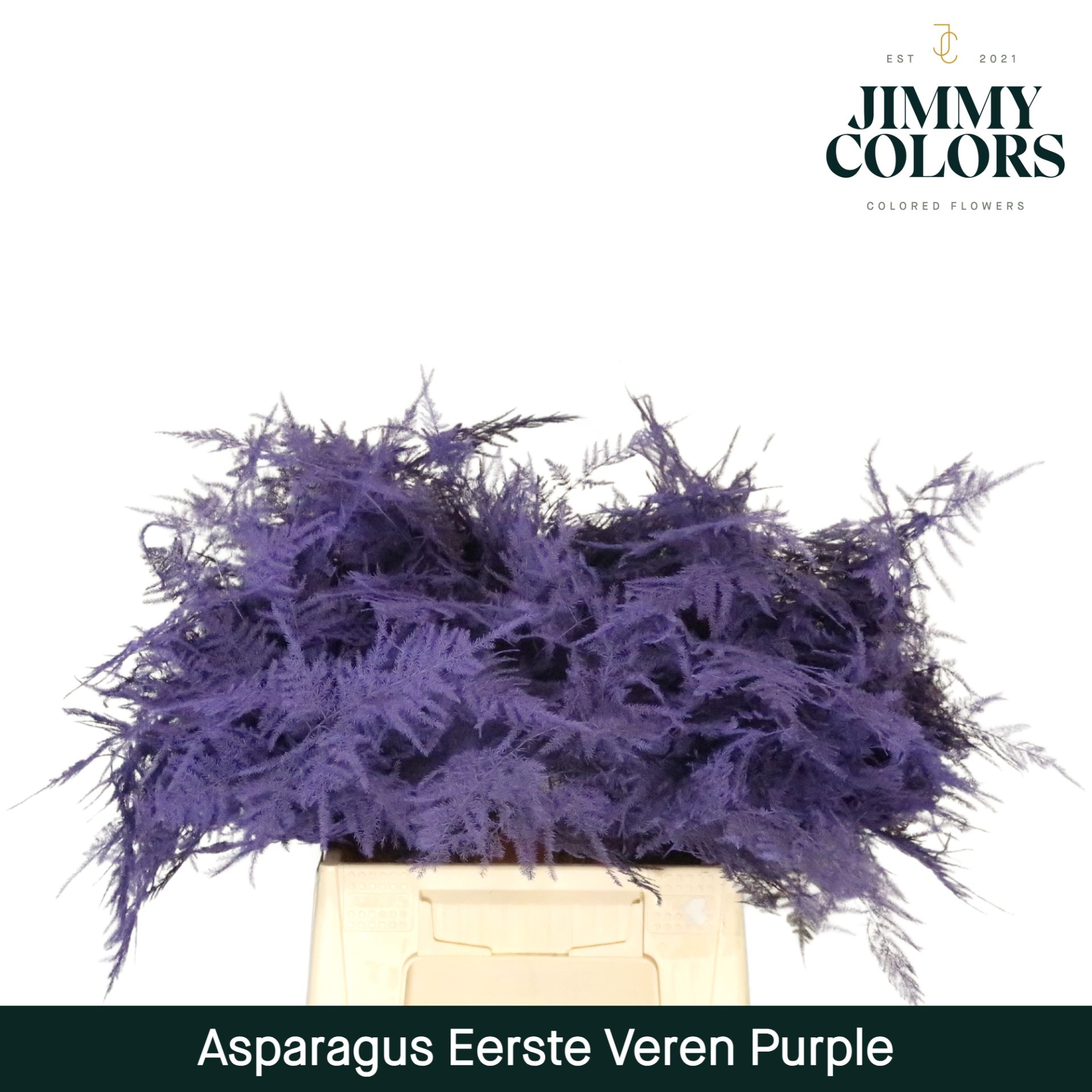 Aspa 1ste Veren Purple