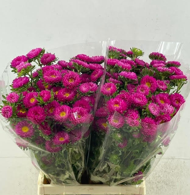Callis Mats Pink
