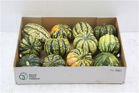 Ornamental Fruits Per Piece
