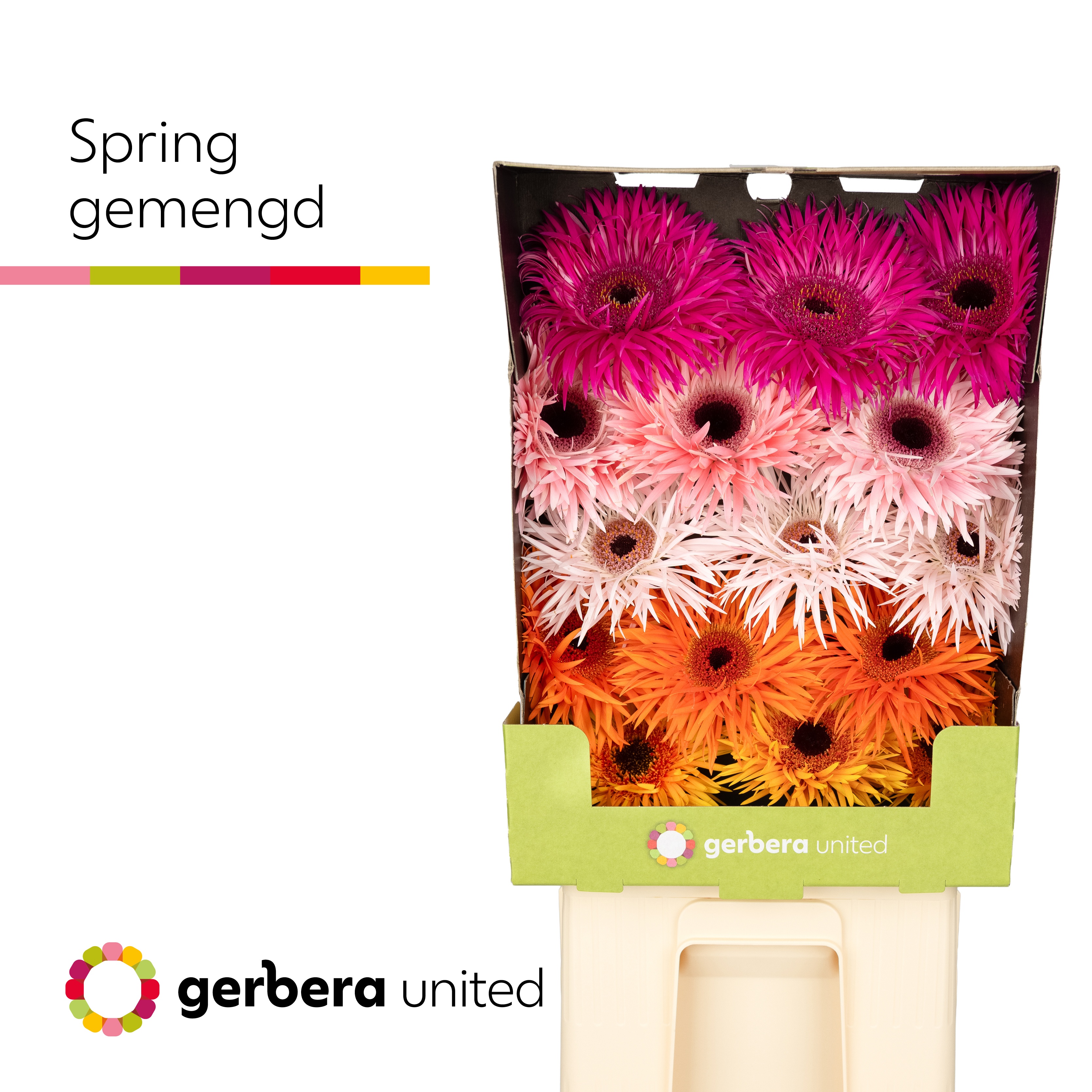 Ge Gr Spring Rij Gem