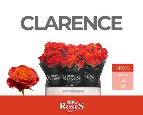R Gr Clarence+