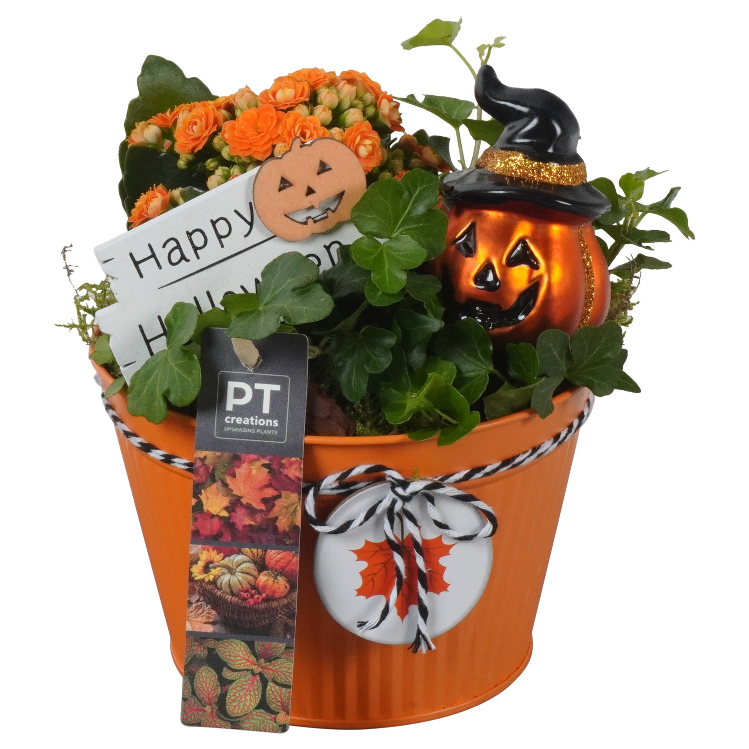 Picture of PTHL1921 Arrangement Halloween in zinc pot P15 21CM