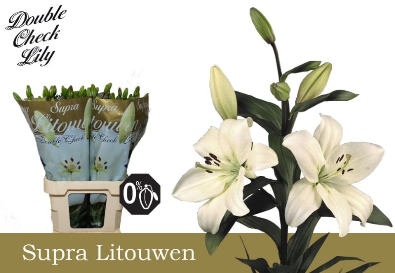 Li La Litouwen