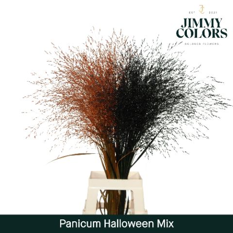 Panicum L90 Halloween Mix