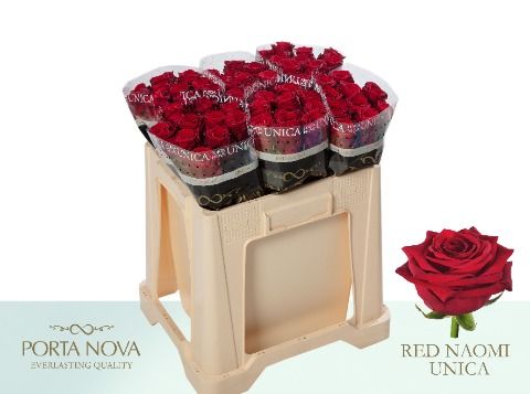R Gr Red Naomi!