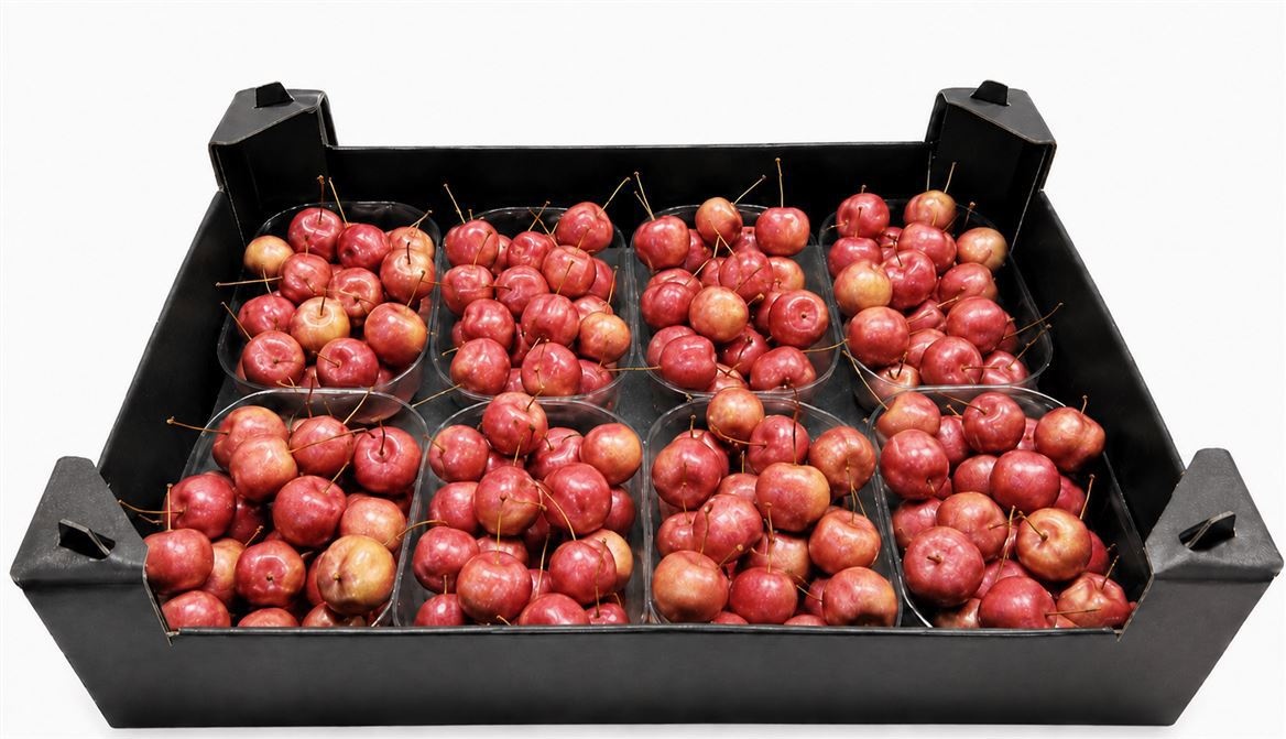 Gewaxde Appel