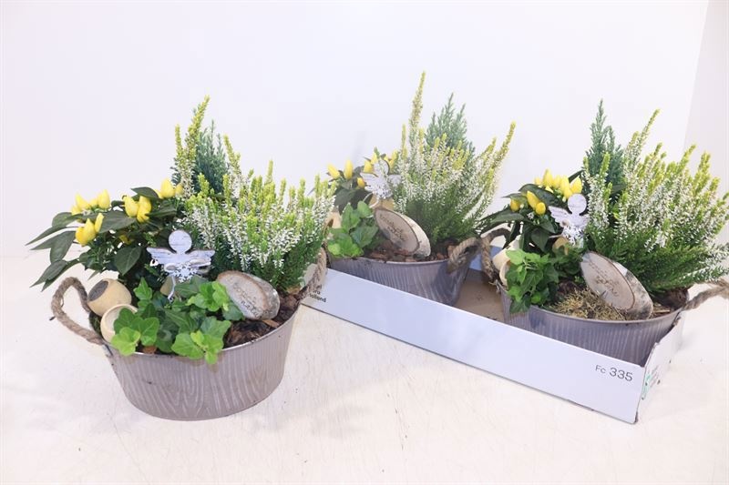 Arr Tuinplanten 26P 32cm