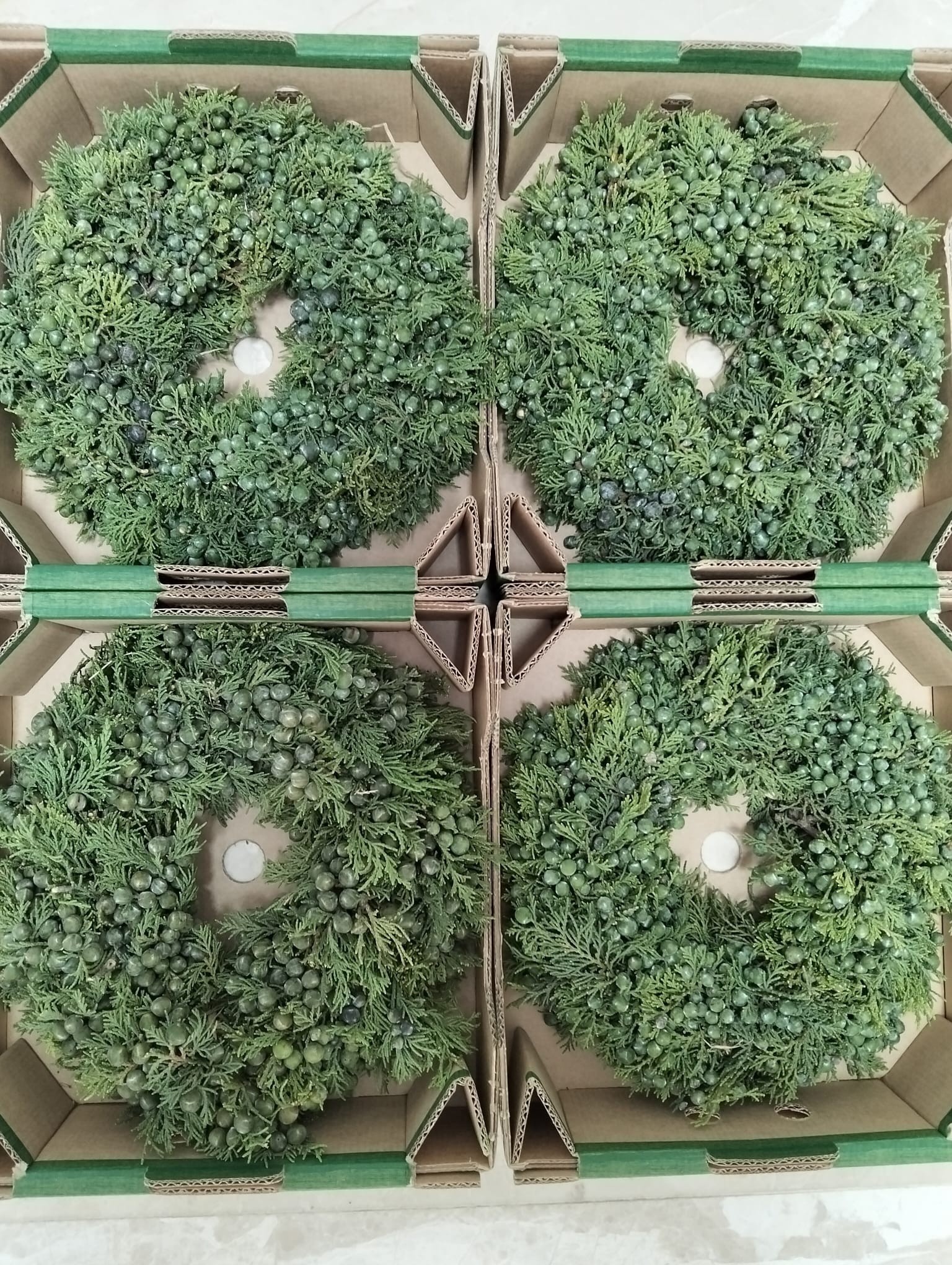 Fruits Malus Per Piece
