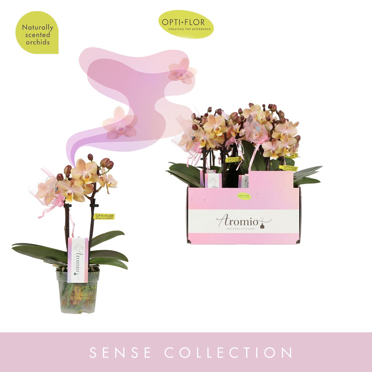 Aromio Honey 2 Spike