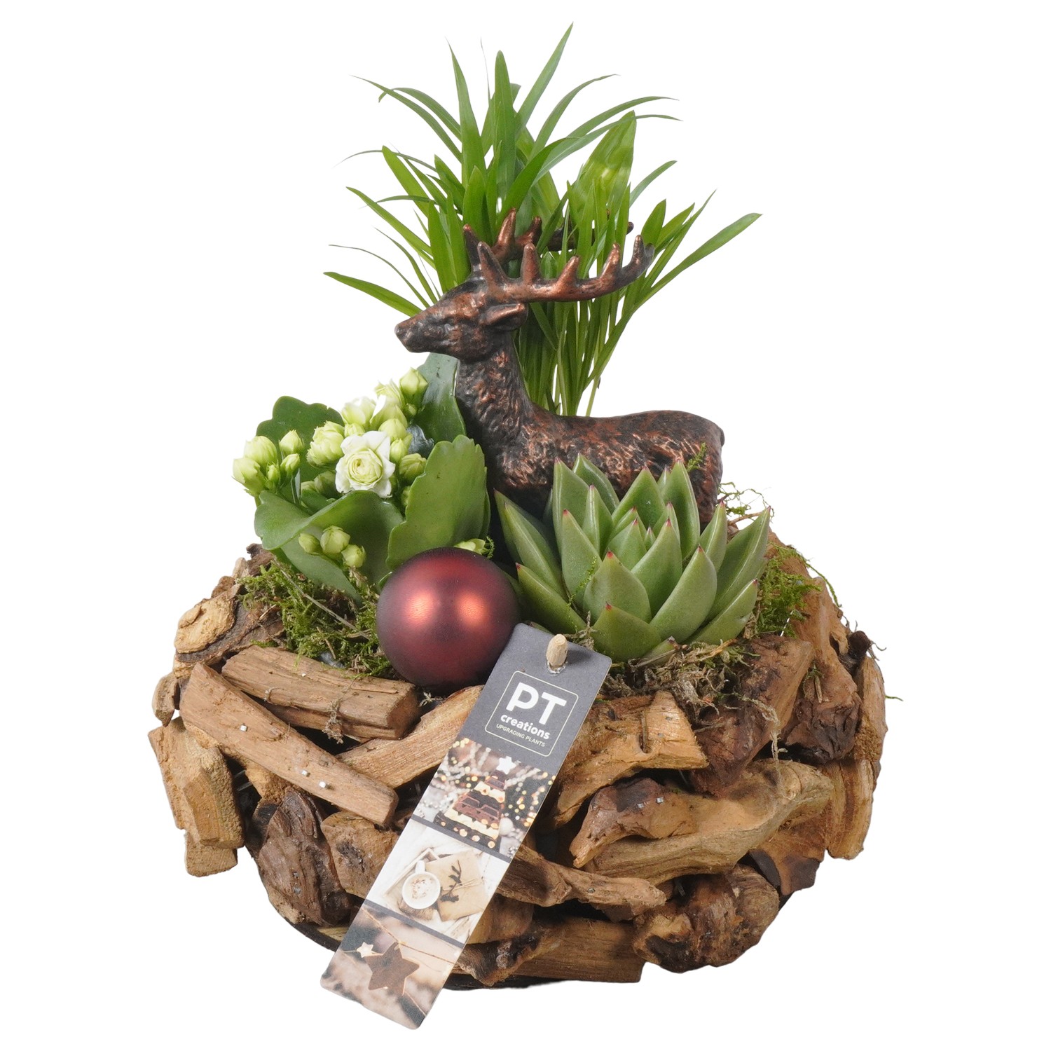 Picture of PTKB9305 Arrangement X-Mas in wooden bowl P21 23cm