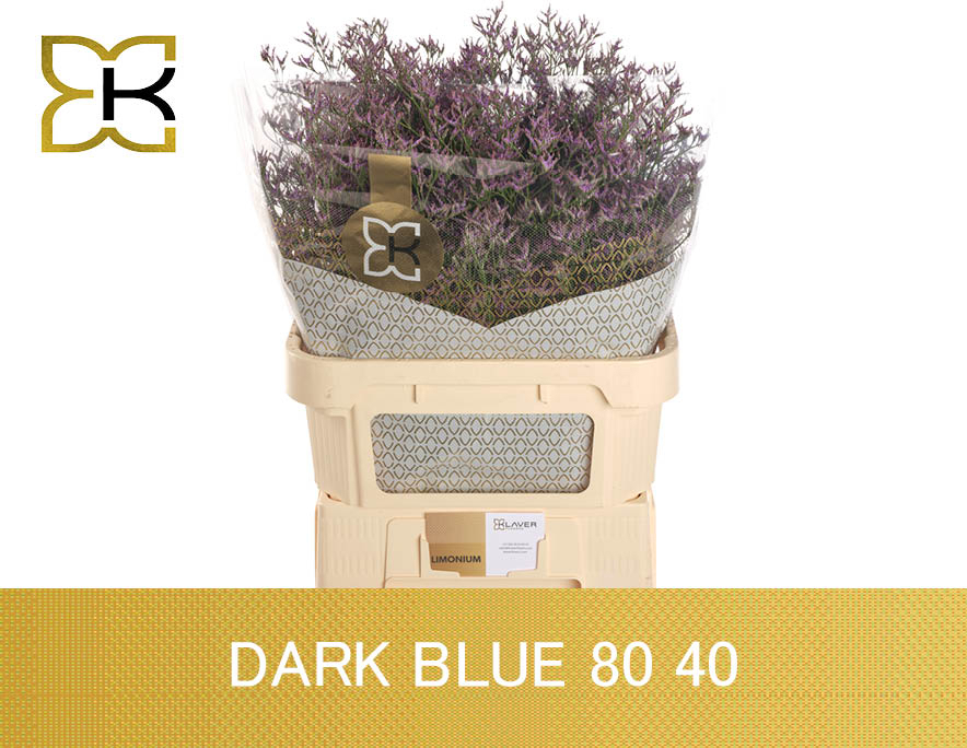Lim Saf Dark Blue