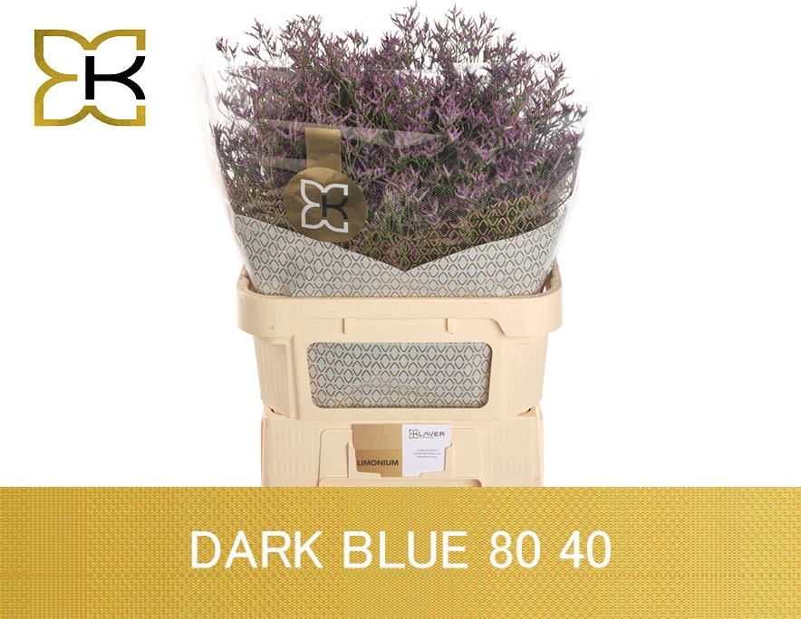Lim Saf Dark Blue