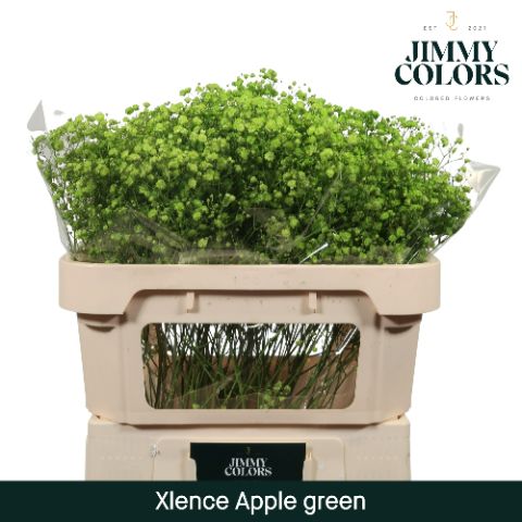 Gyps Xlence L70 Apple Green