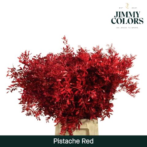 Pistache L50 Red