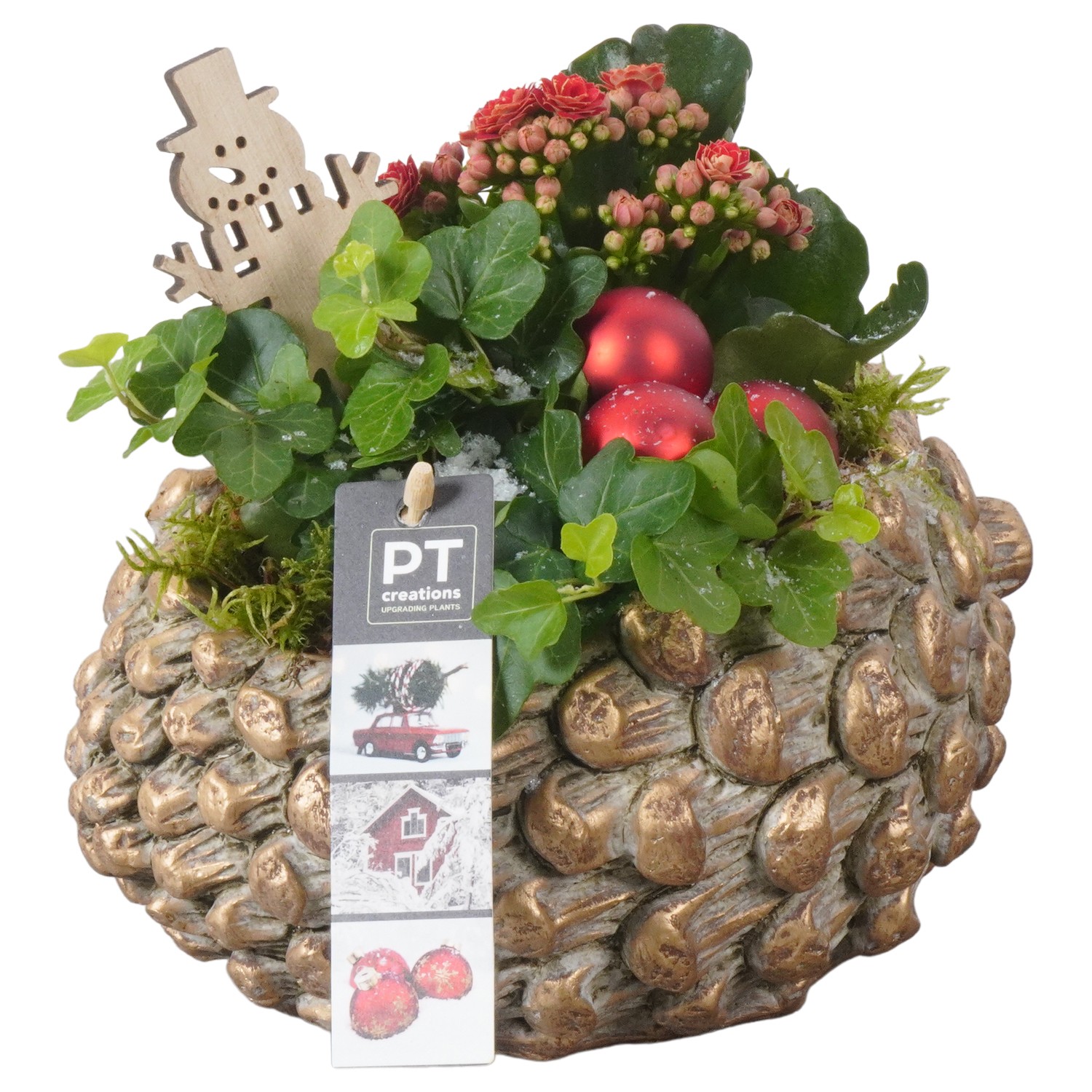 Picture of PTKB9405 Arrangement X-Mas in concrete pine cone P21 18cm