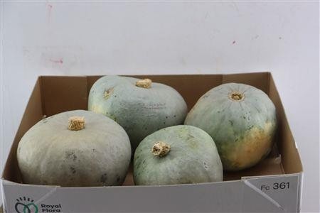 Ornamental Fruits Per Piece