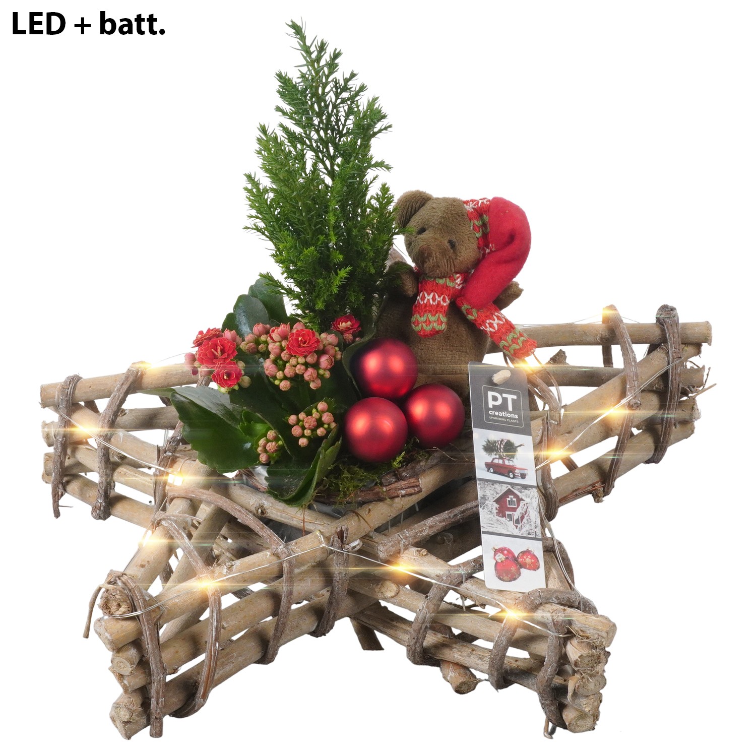 Picture of PTKB9344 Arrangement X-Mas in wooden star P33 31CM