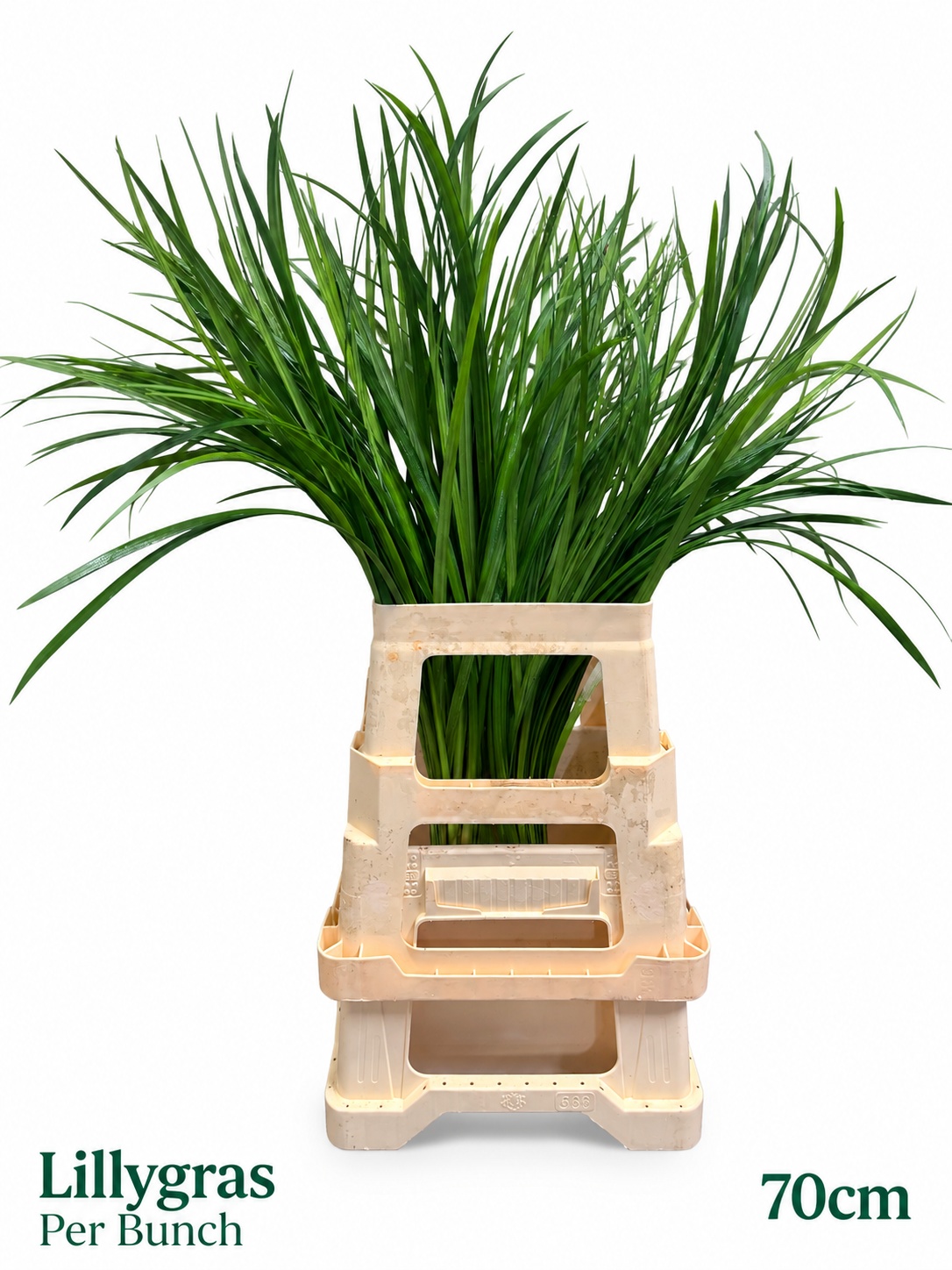 Decogroen Groot Blad 70L.cm