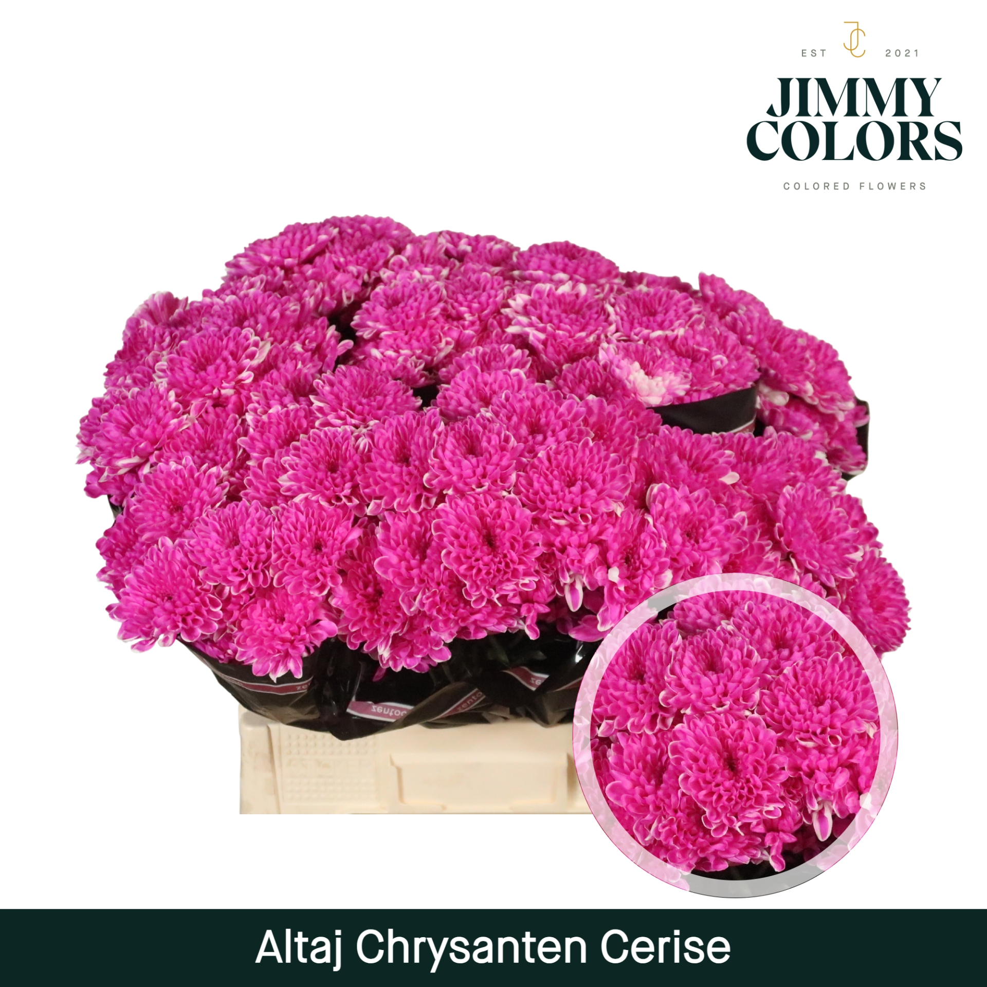 Chr T Altaj Cerise