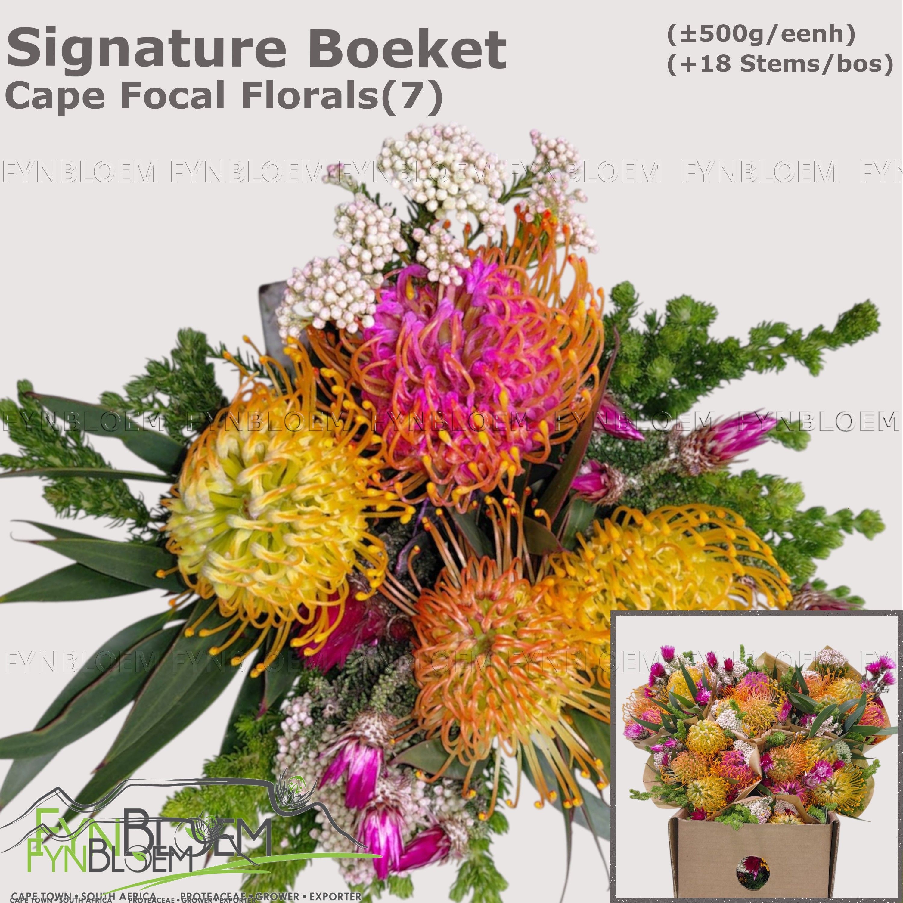 Protea Bouquet Per Bunch 40cm