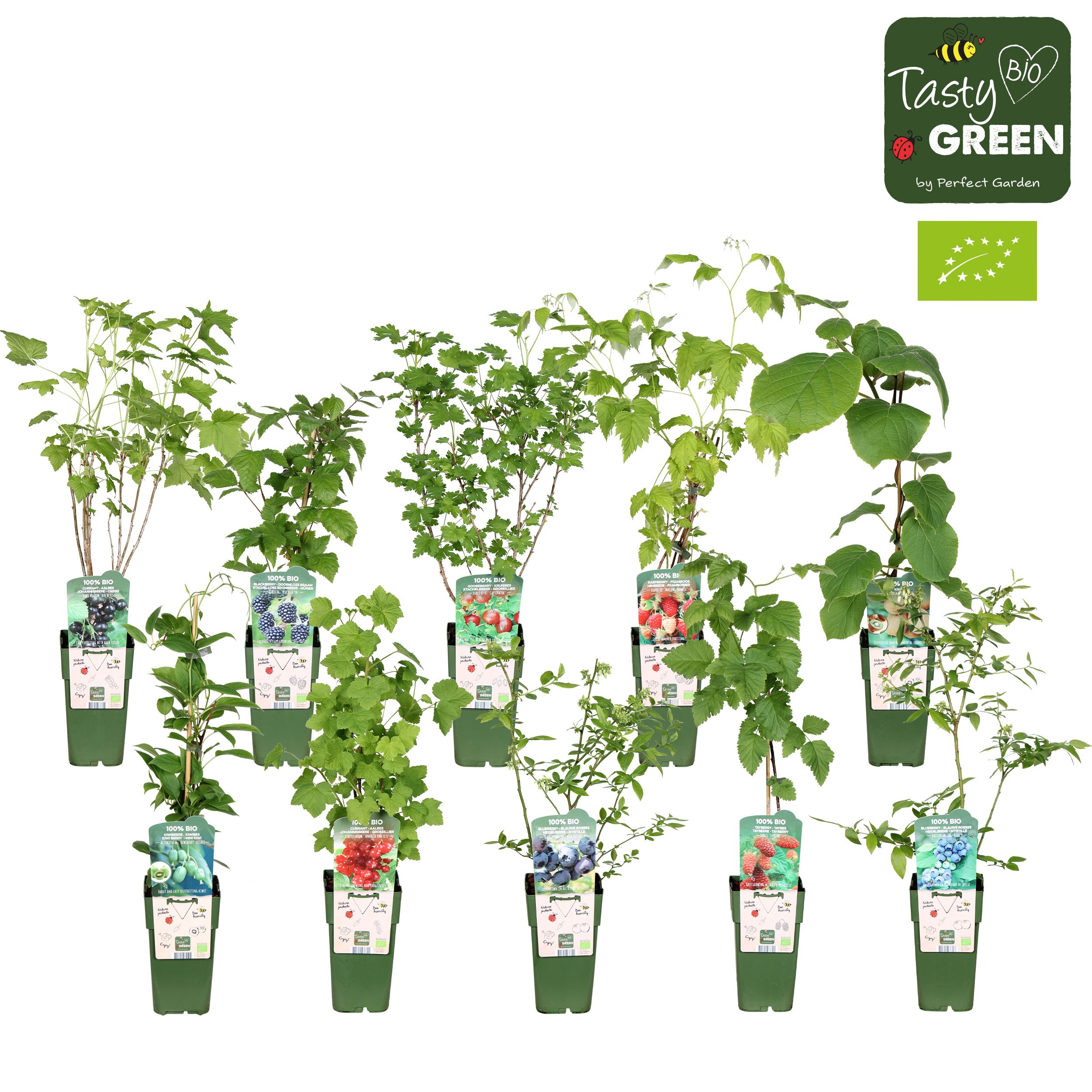 Picture of Fruit mix shelve bio standard P15