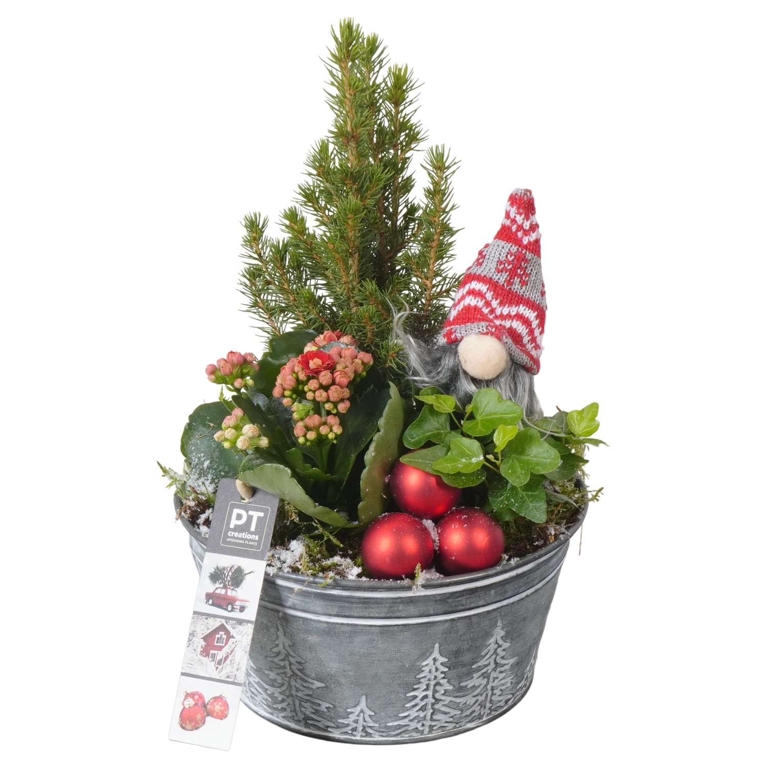 Picture of PTKB9438 Arrangement X-Mas in zink pot P18 29CM