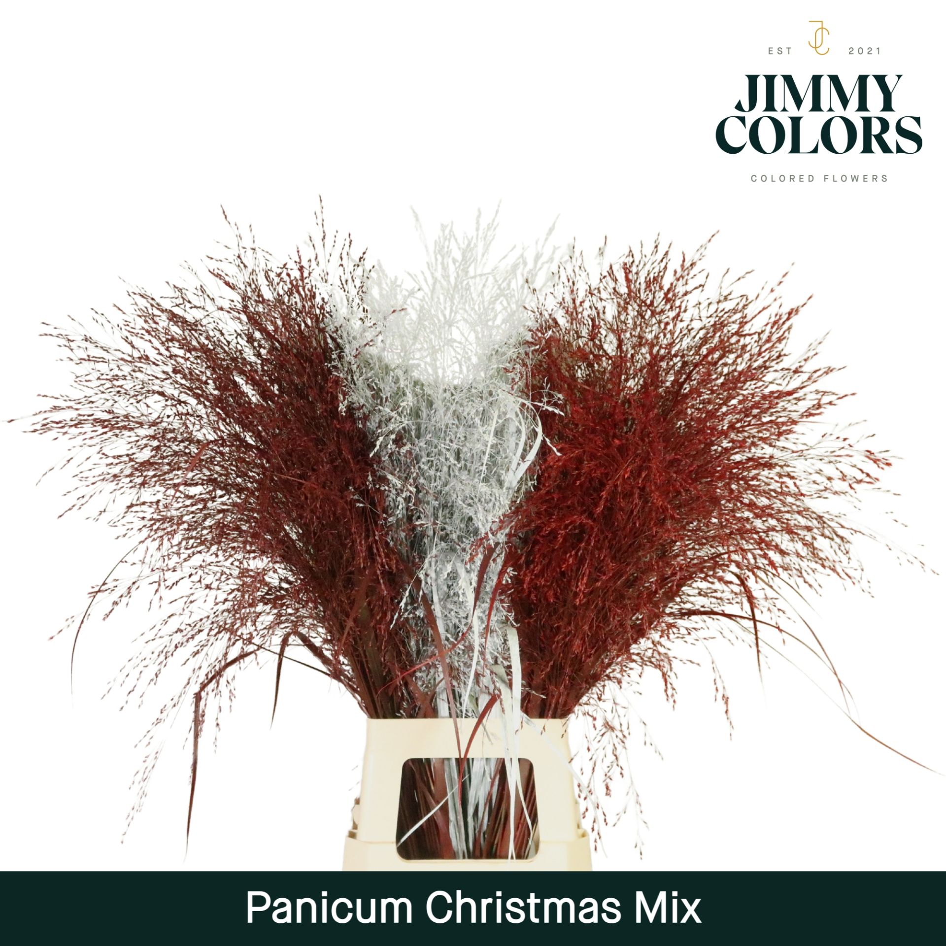 Panicum L90 Christmas Mix