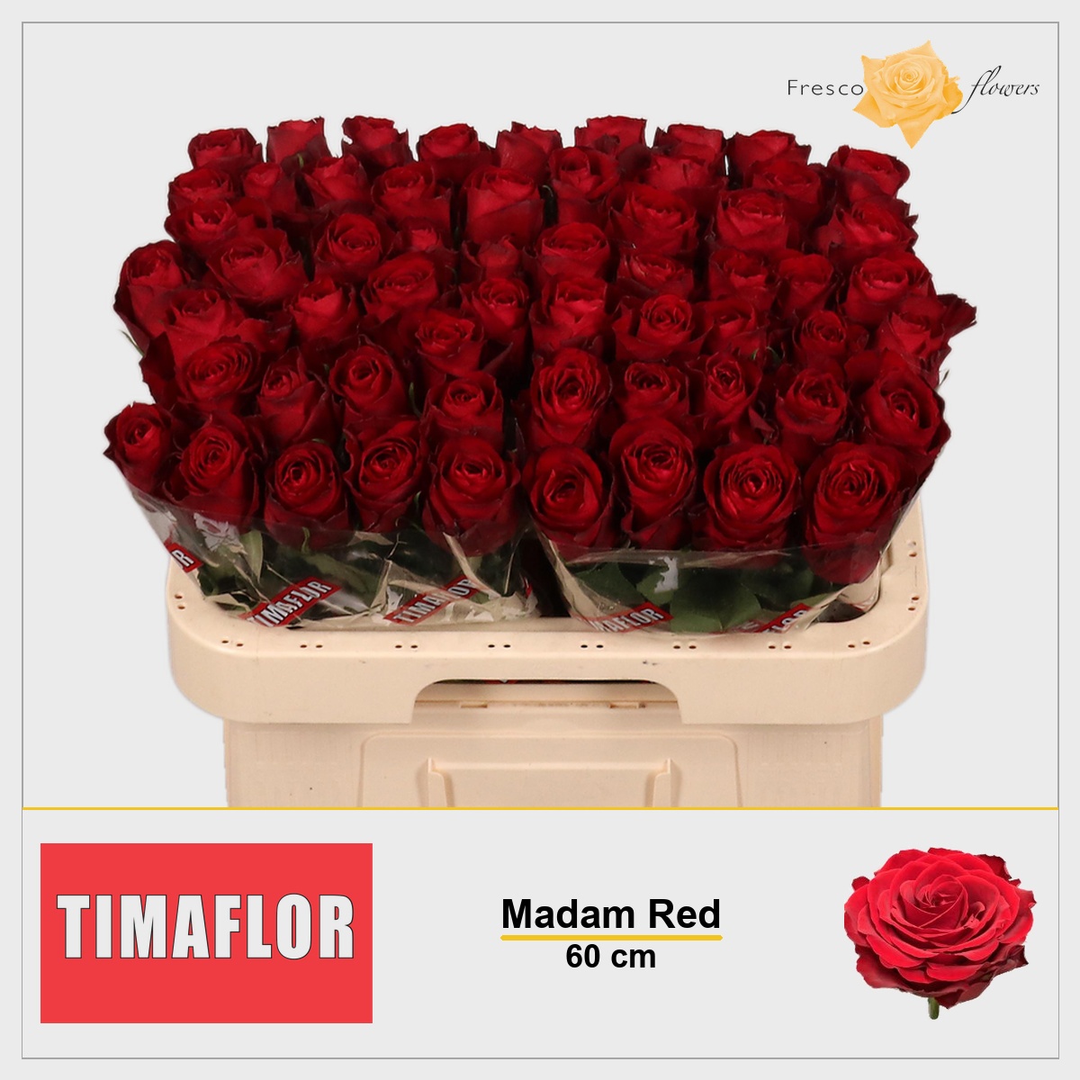 Rosa Madam Red 60cm