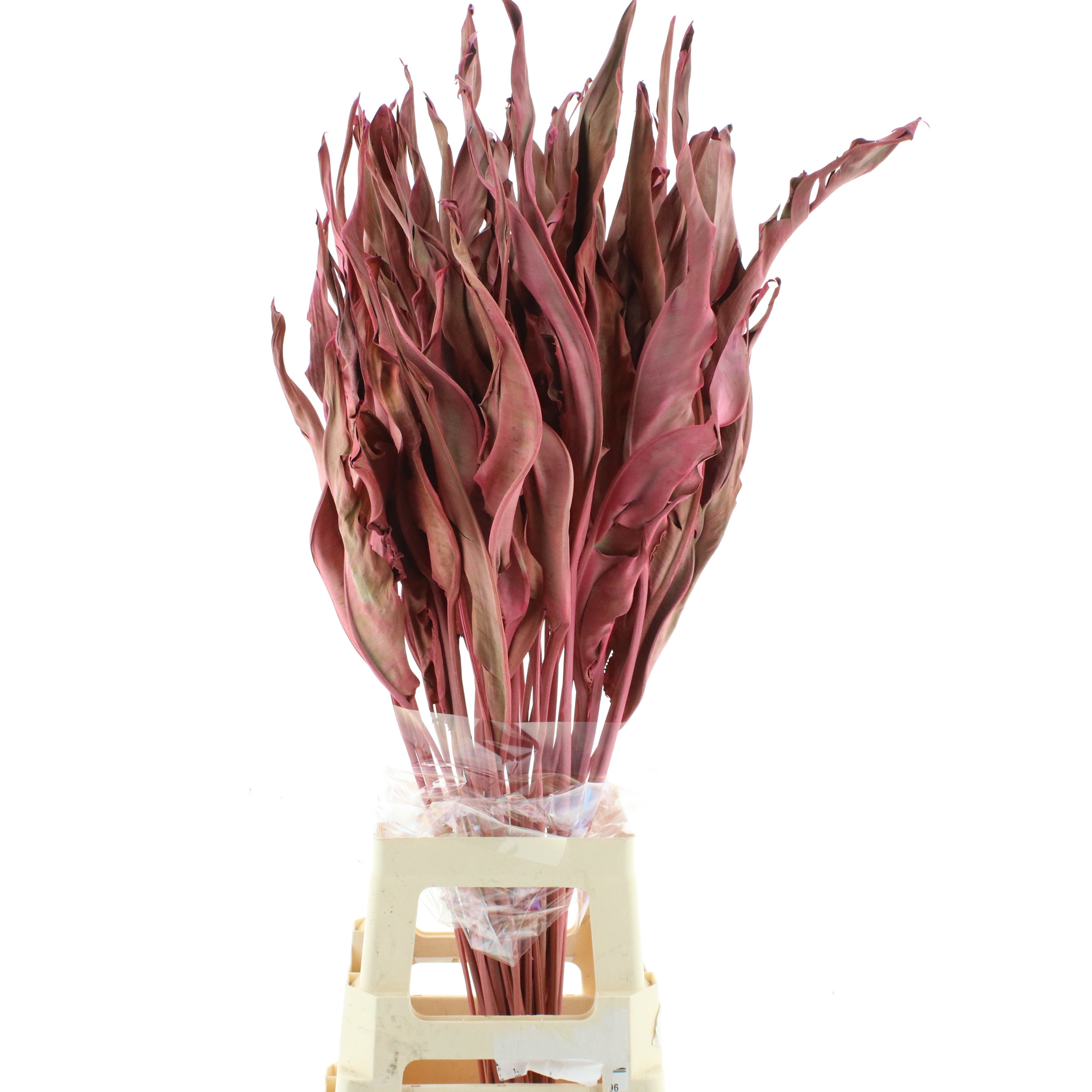 Dried Miscellaneous 90cm