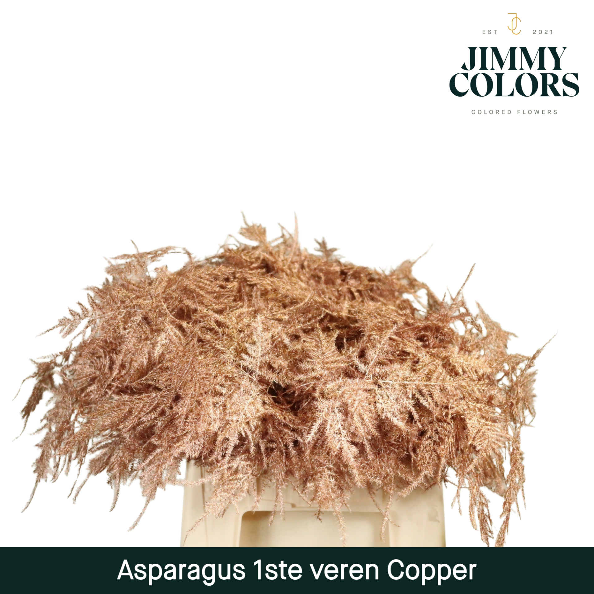 Aspa 1ste Veren Mtlc. Koper