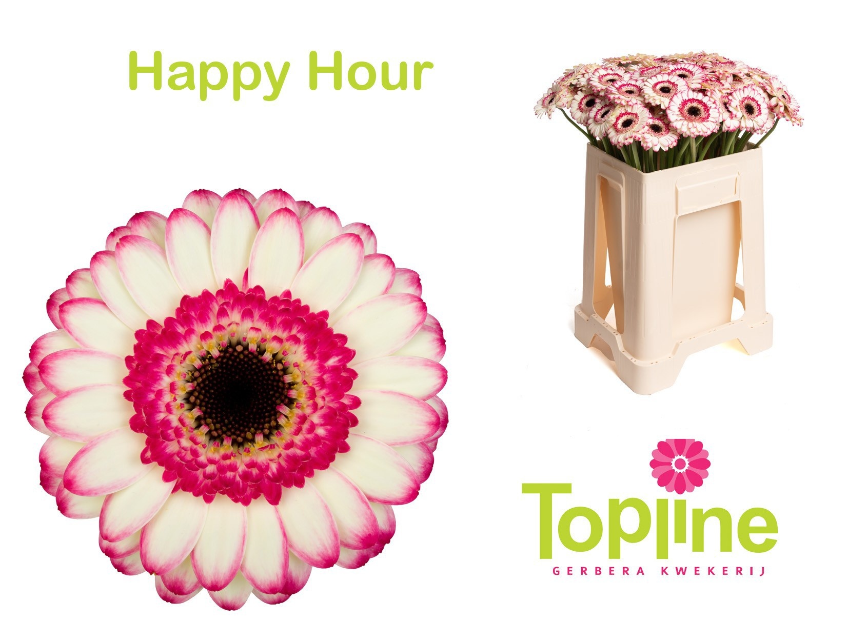 Ge Mi Happy Hour