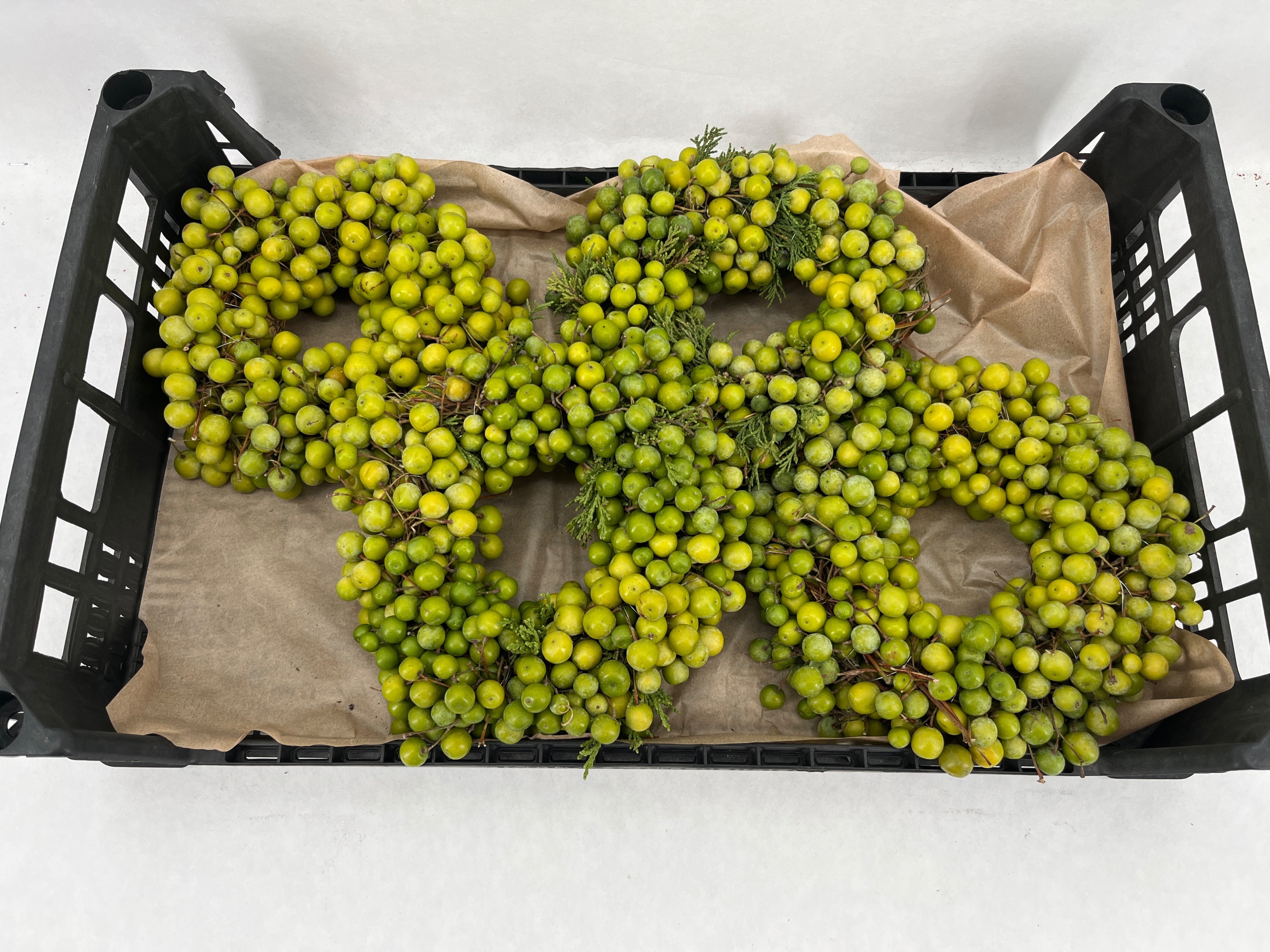 Fruits Malus Per Piece