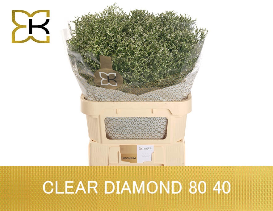 Lim Sin Clear Diamon