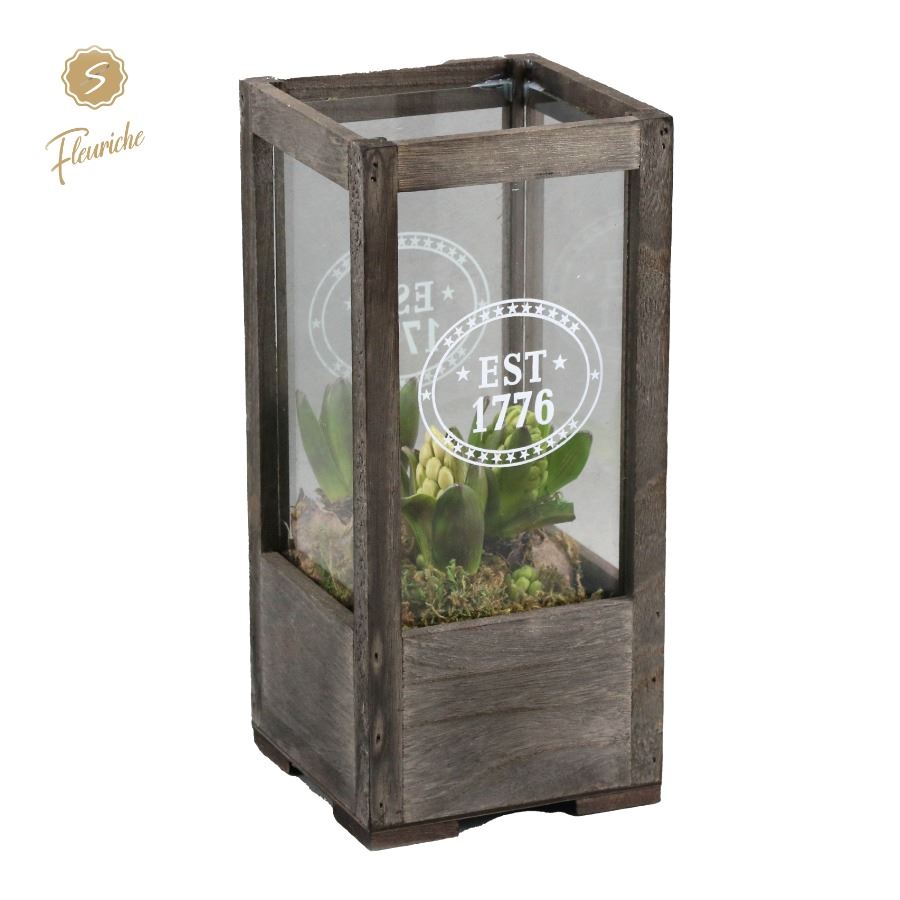 Picture of (7701) Hyacint Lantern Wood [M] 3PP Moss P15 30CM