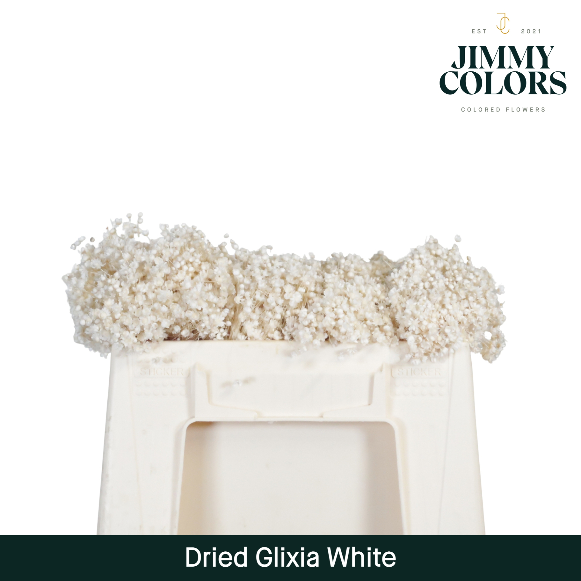 Dried Glixia White