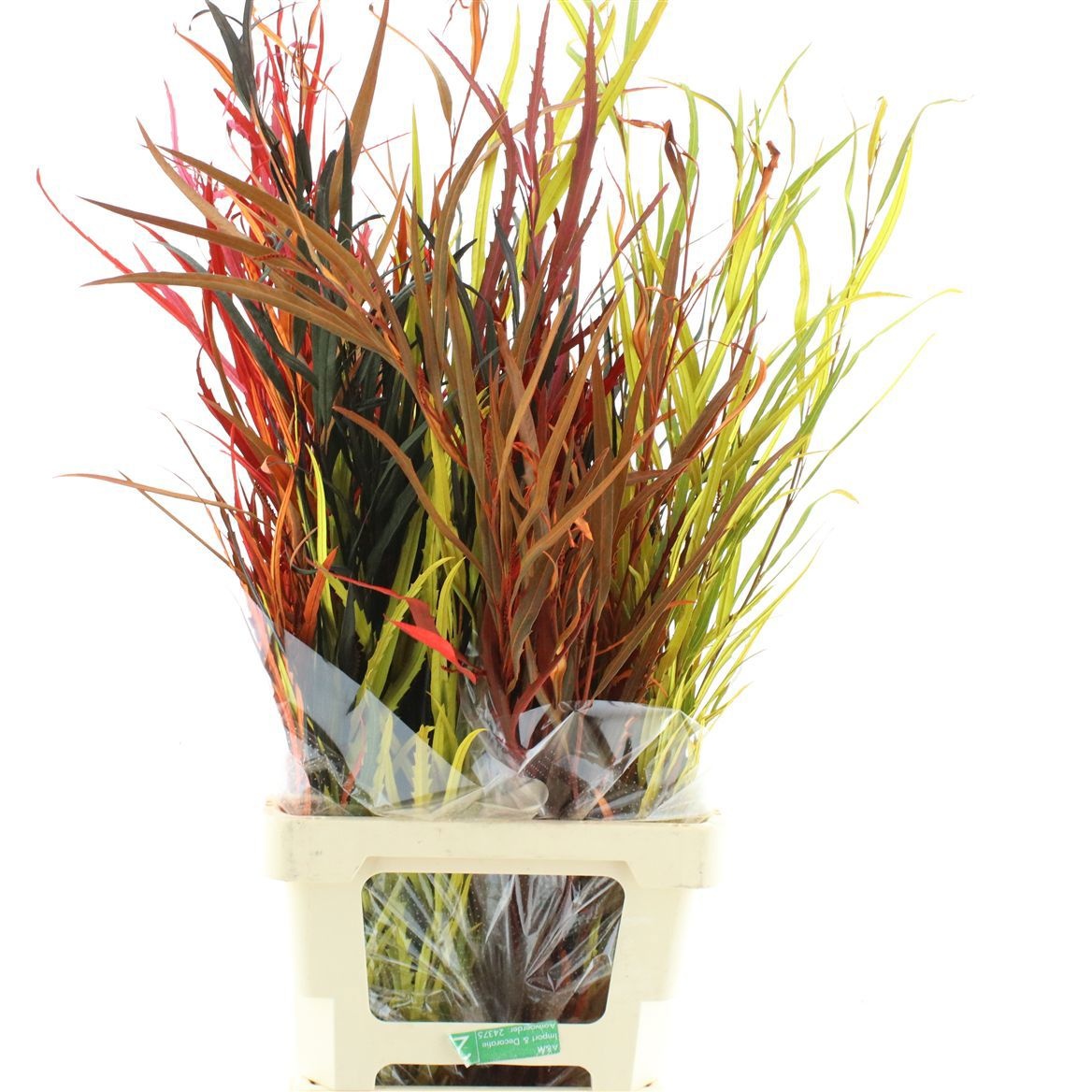 Eucalyp Klb Bs H% 69L.cm 200gram
