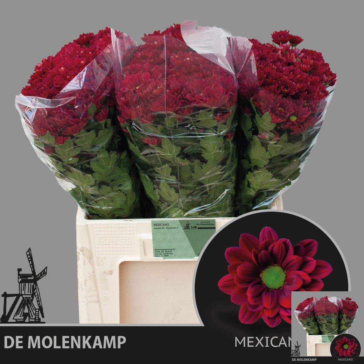 Chrys Spray Mexicano 50gram