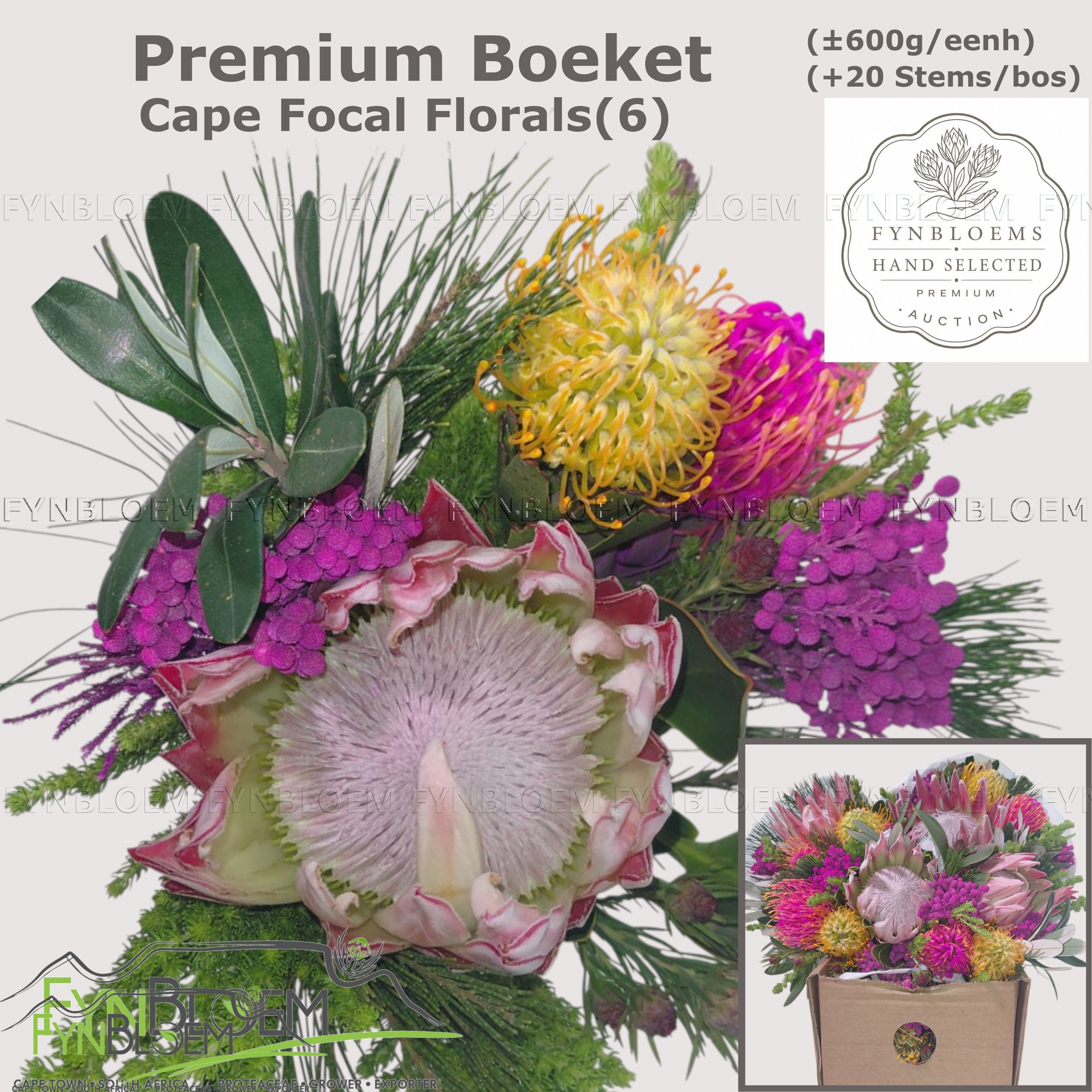 Protea Bouquet Per Bunch 40cm