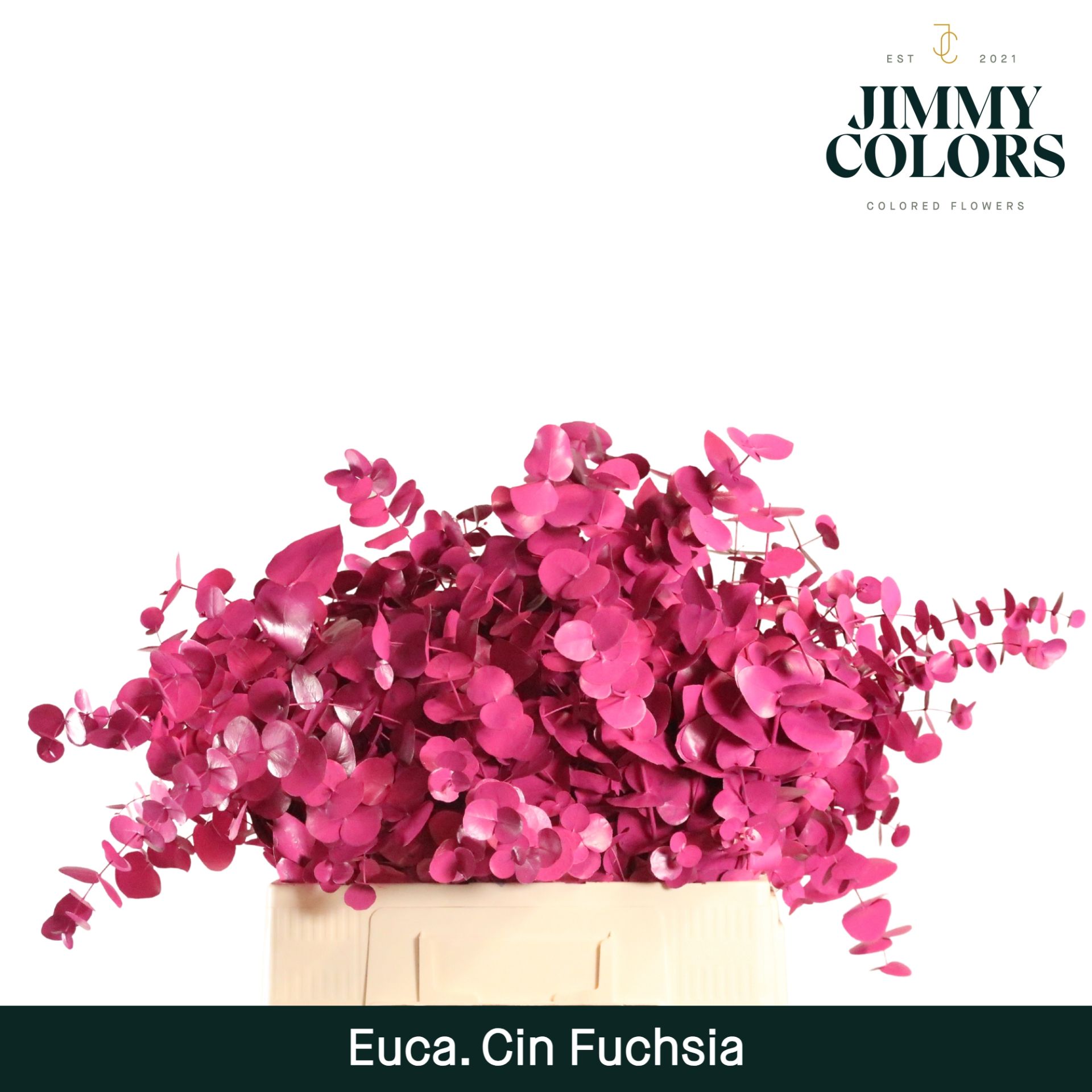 Cinerea Per Bos 200g Fuchsia