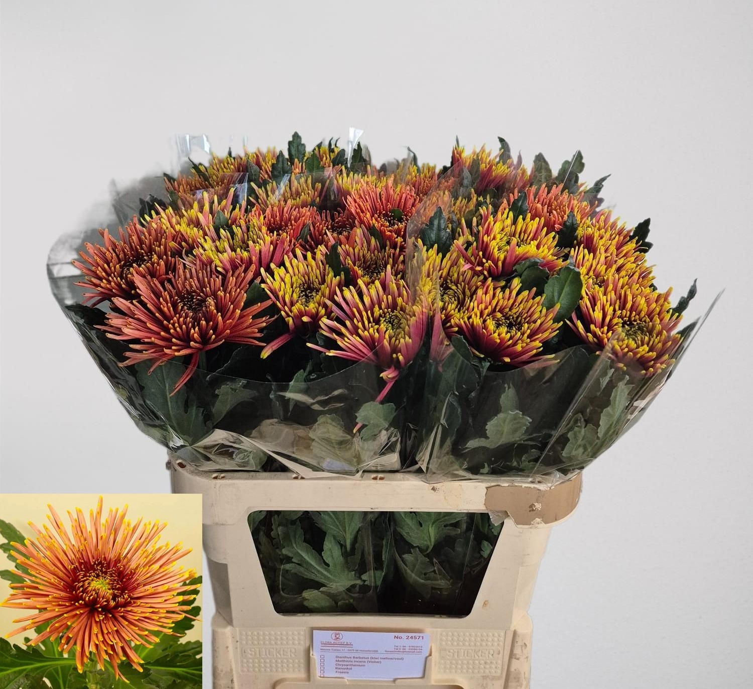 Chr G Tula Copper 80cm 130gram