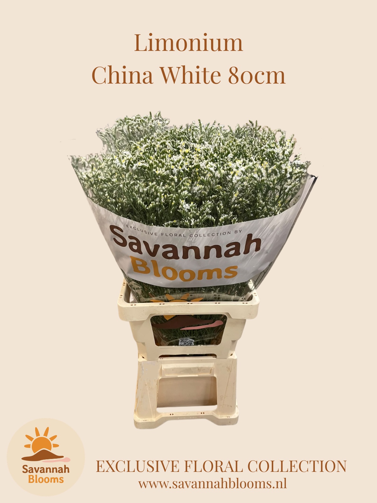 Limonium Sin China Whi 80cm 45gram