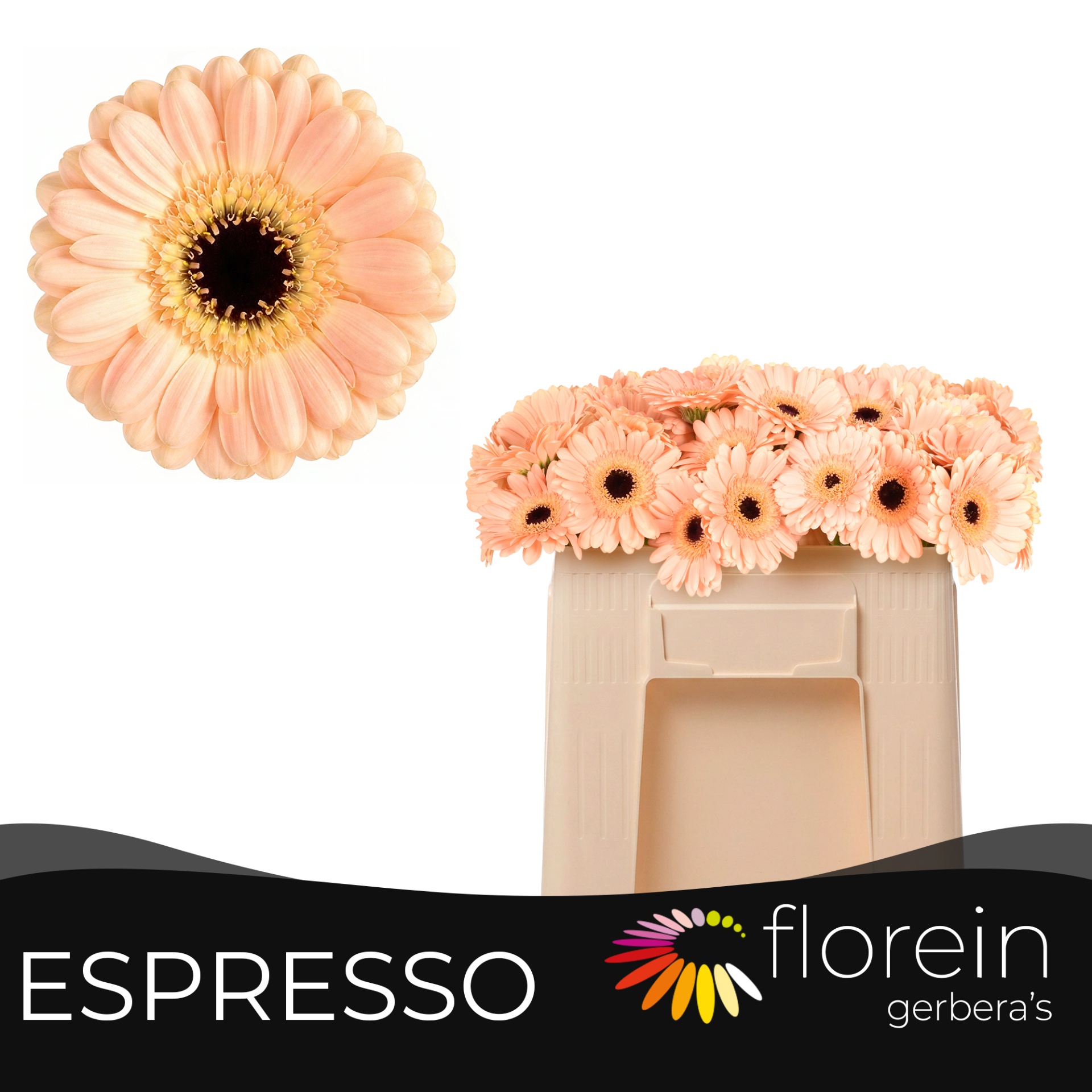 Ge Mi Espresso