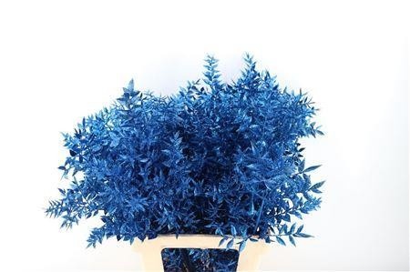 Dried/preserved Flowers Misc 60cm 18gram