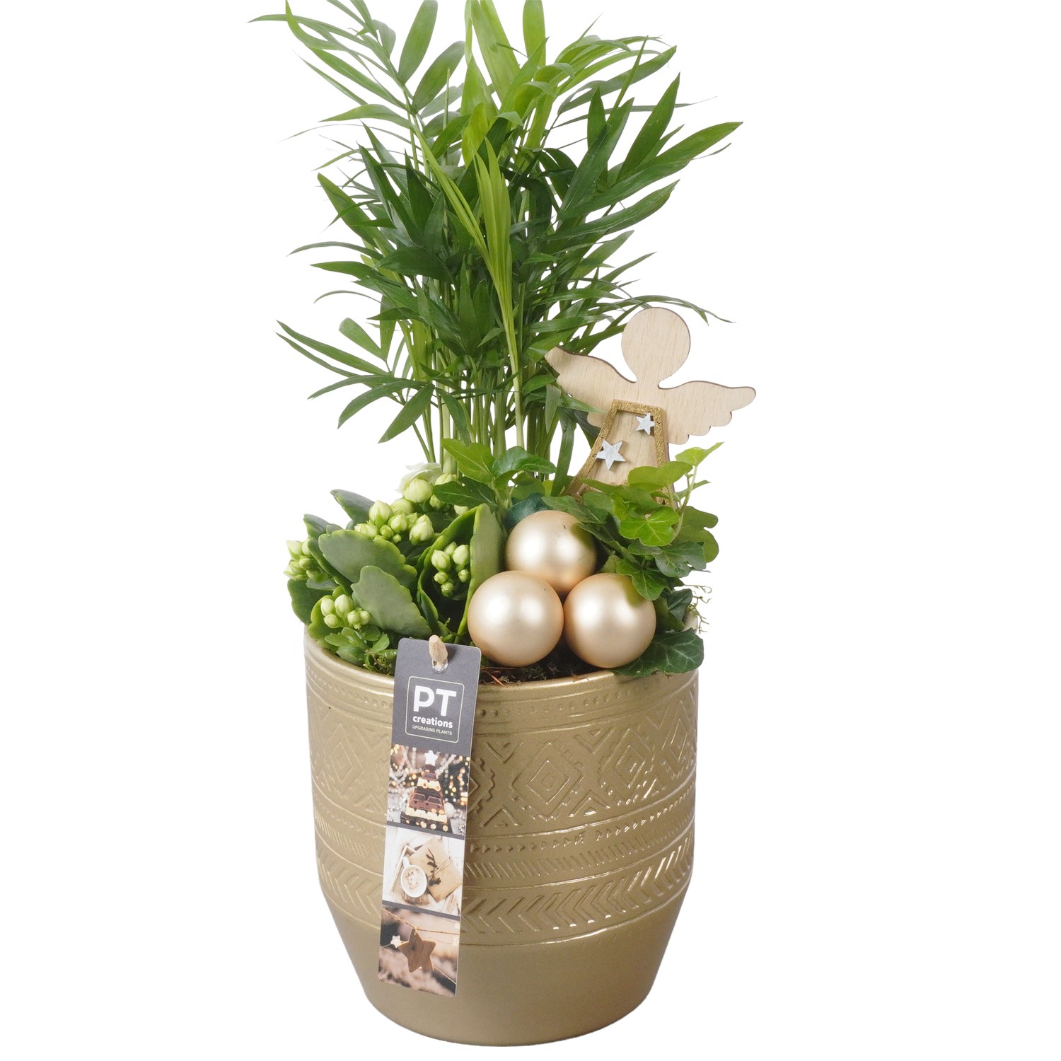 Picture of PTKB9357 Arrangement X-Mas in ceramic pot P14 34CM