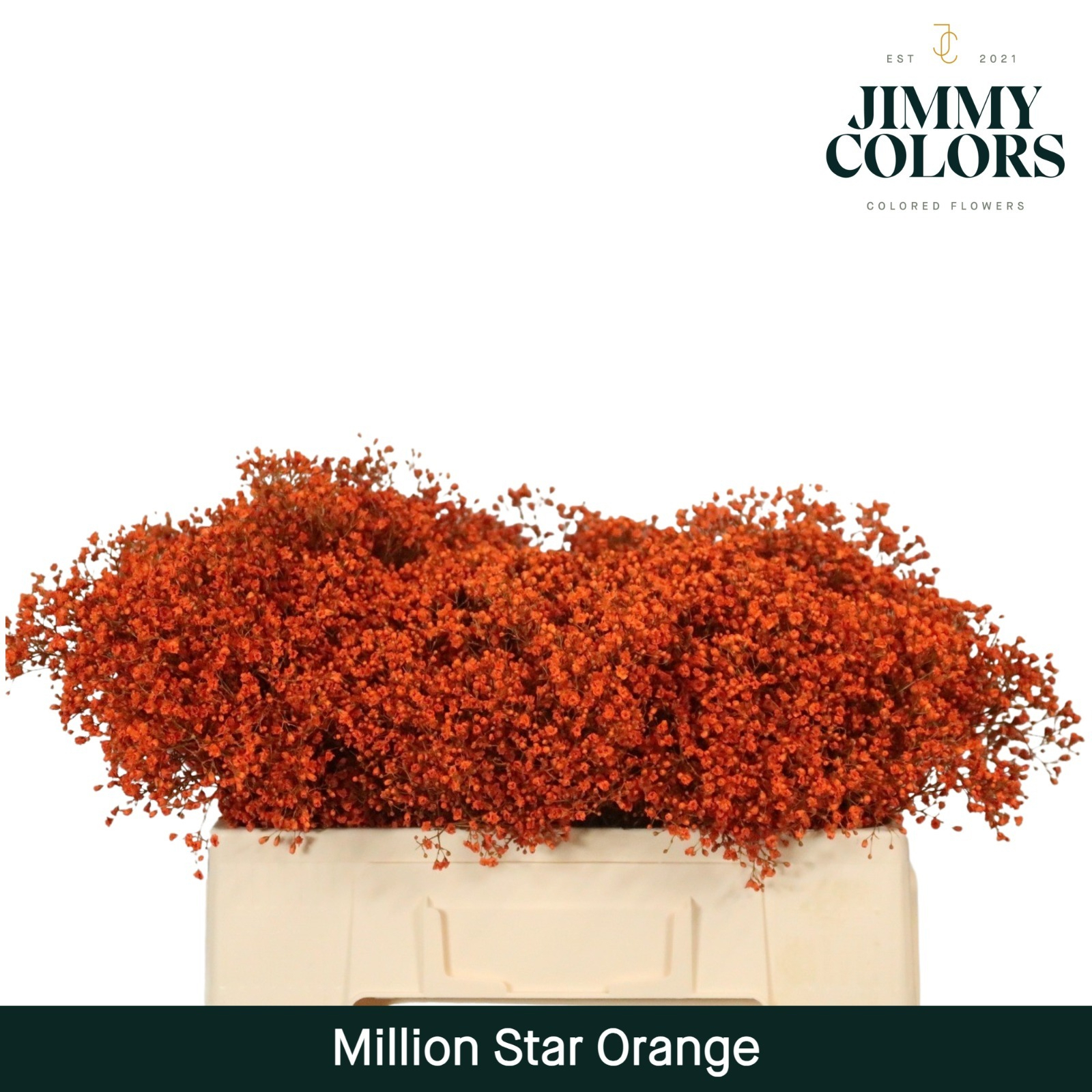 Gyps Million Star L50 Orange