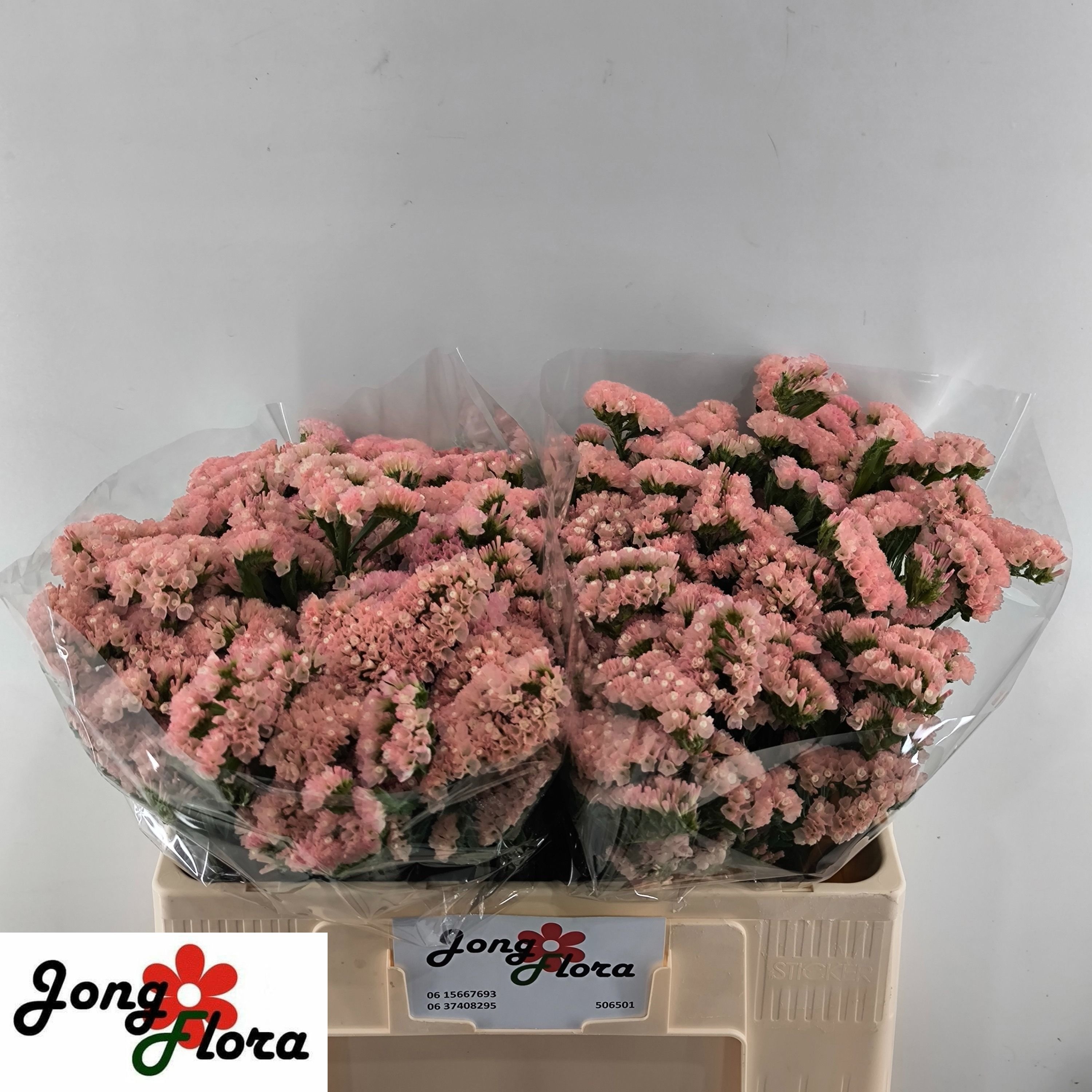 Lim S Peach Wings 50cm 18gram
