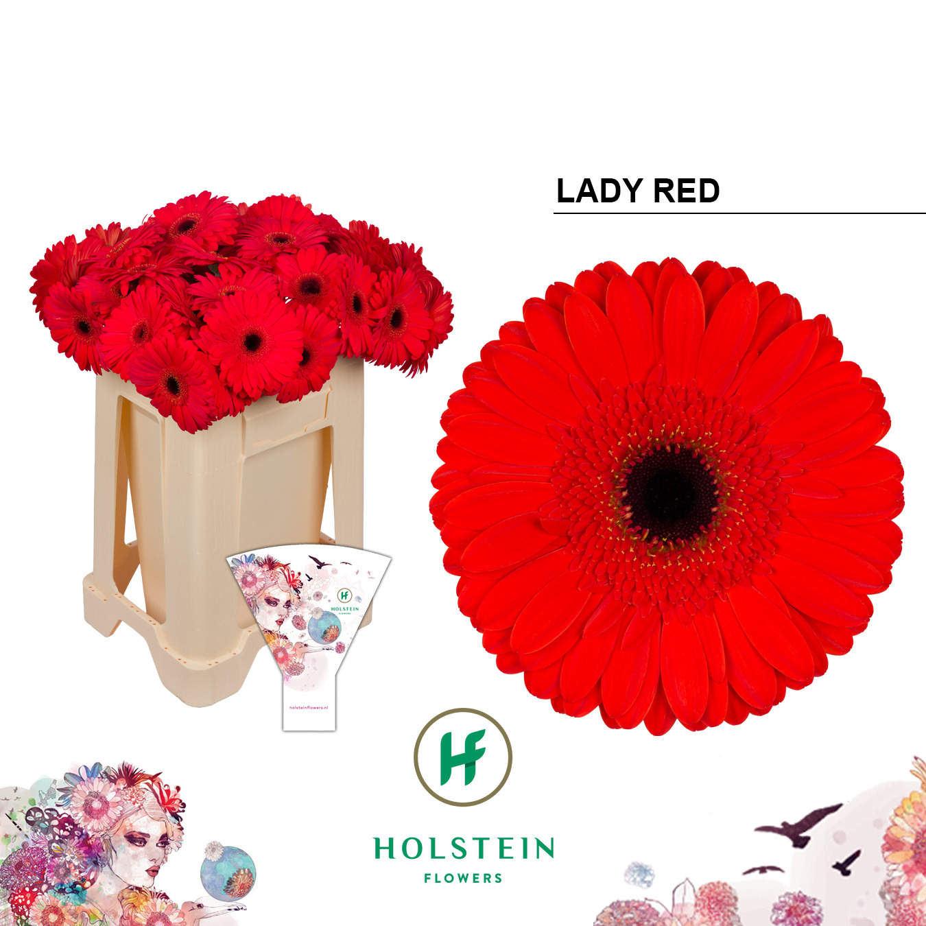 Ge Gr Lady Red