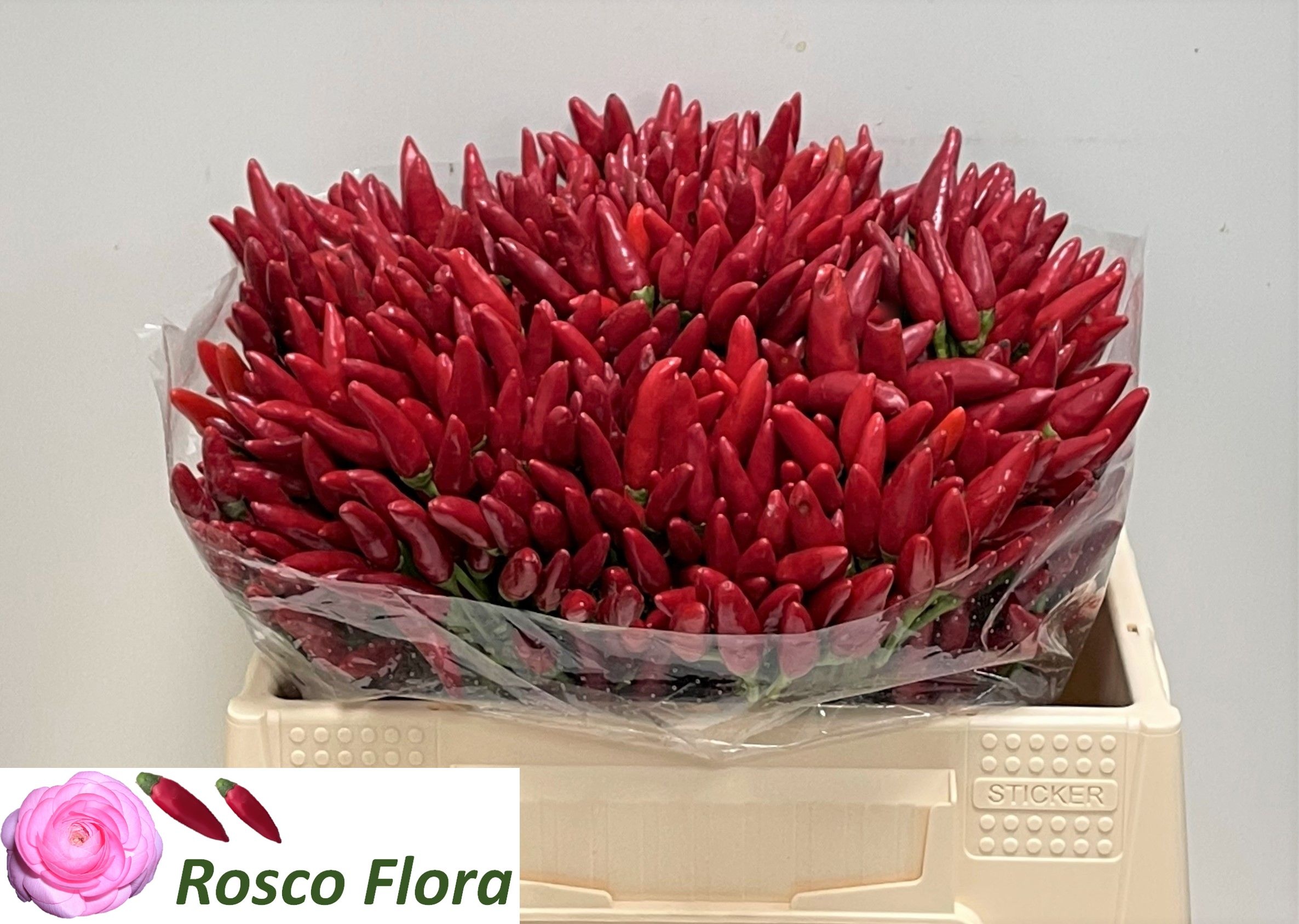 Sierpeper Red Fire