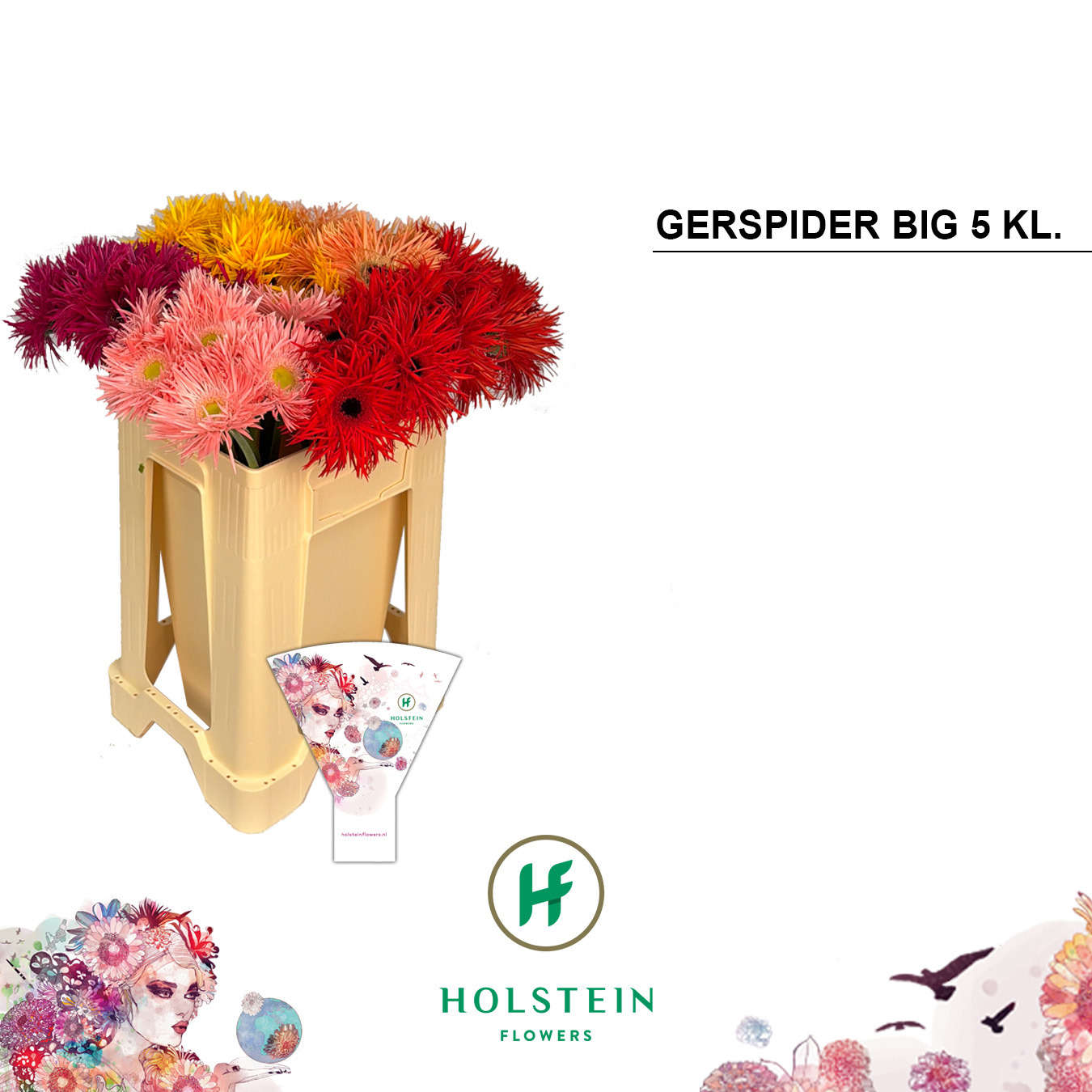 Ge Gs Gersp Gem