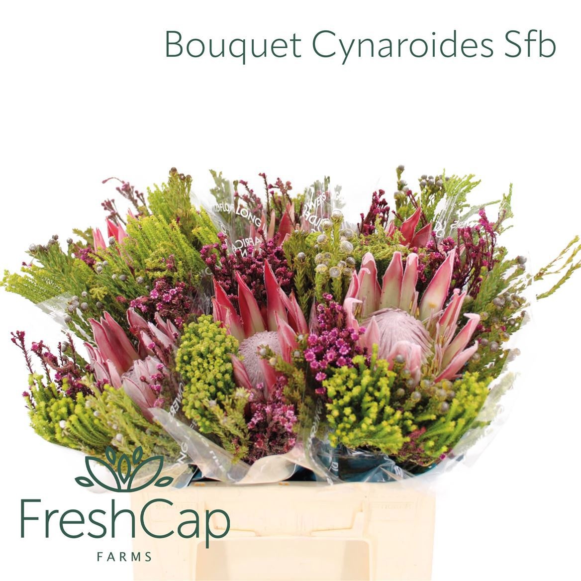 Cape Green Mixed In Bunch (BERZELIA) 40cm